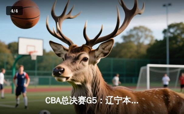 CBA总决赛G5：辽宁本钢加时险胜广东宏远，成功卫冕总冠军 - 4